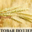 Фермерам Зауралья: стартует конкурс грантов до 5 млн рублей на развитие хозяйств. - Юргамышский муниципальный округ