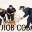 Отлов собак. - Юргамышский муниципальный округ