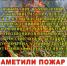 Сводка о пожарах на территории Юргамышского округа. - Юргамышский муниципальный округ
